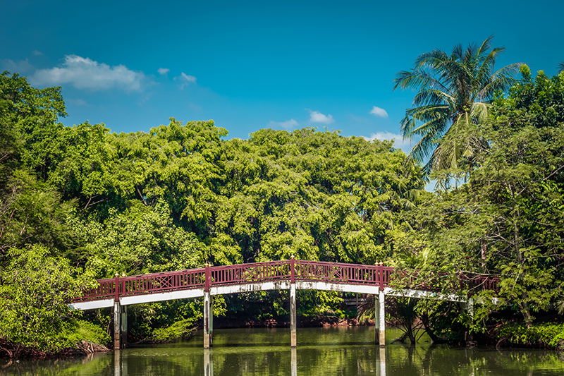 A sunny sky at Bangkrajao, Samutprakan.