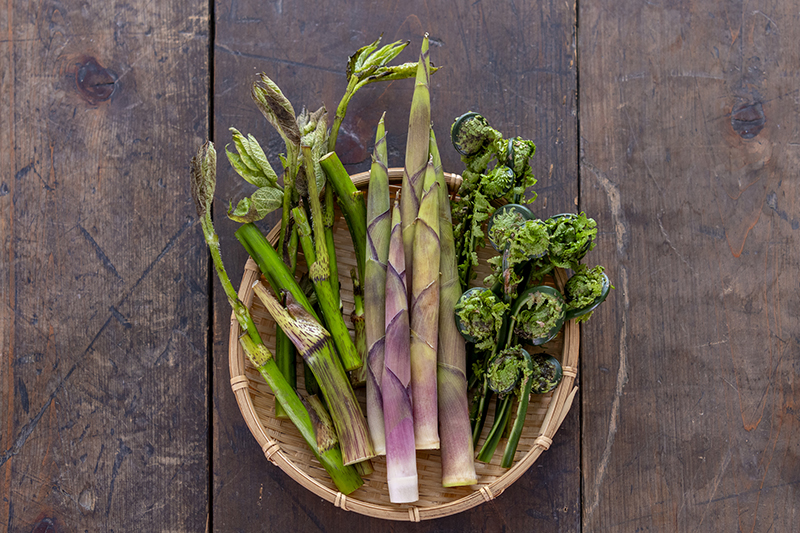 Japanese spring wild vegetables (udo, bamboo shoots, kogomi).