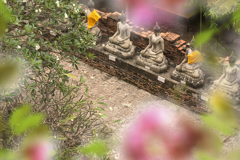 The archaeological site that contains palaces, Buddhist temples, monasteries and statues.