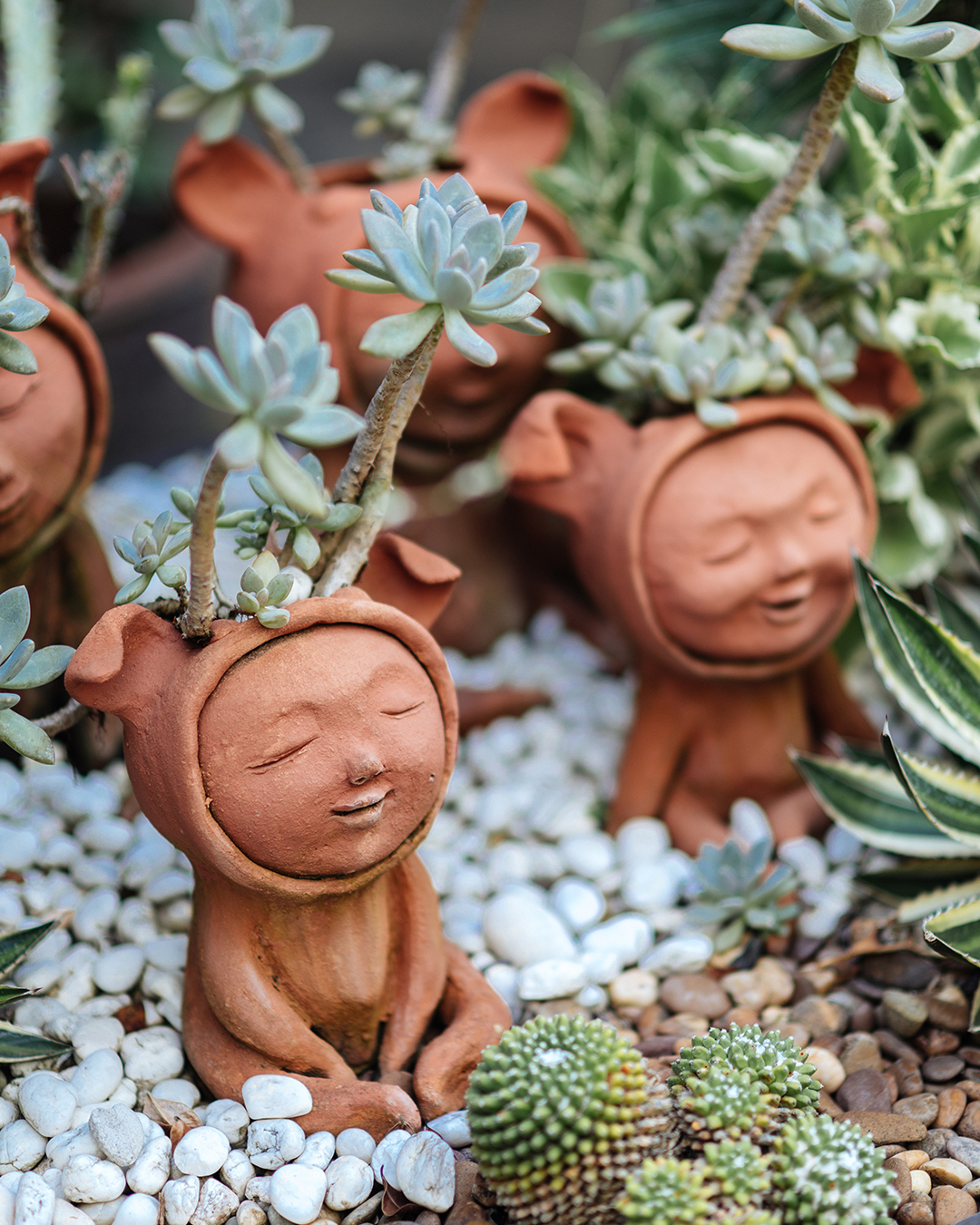 Around the Pottery Garden