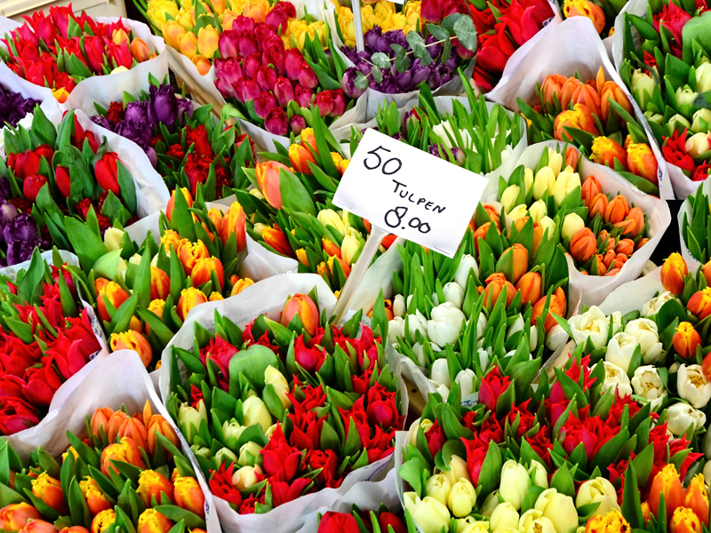 Flower Market