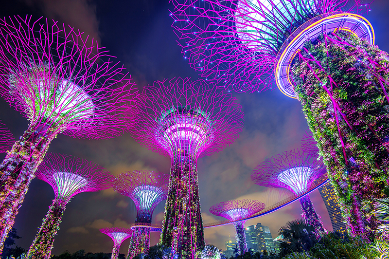 Super tree in Garden by the Bay, Singapore.