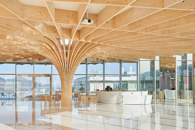 An elegant elliptical hall opens beneath a soaring, umbrella-like roof crafted from warm laminated cypress beams.