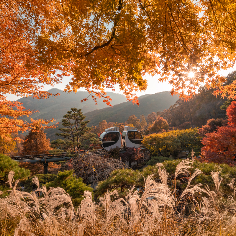Hwadam Botanic Garden, South Korea (Photography by Wutimet Bunyasirisith)