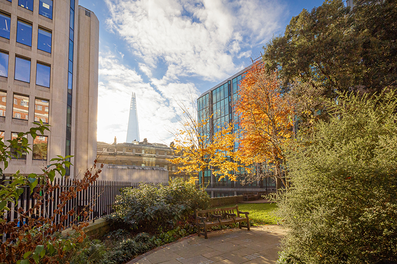 A quiet, green corner of London