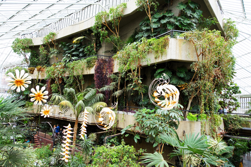 The Barbican Conservatory is open to the public on select days with complimentary admission.