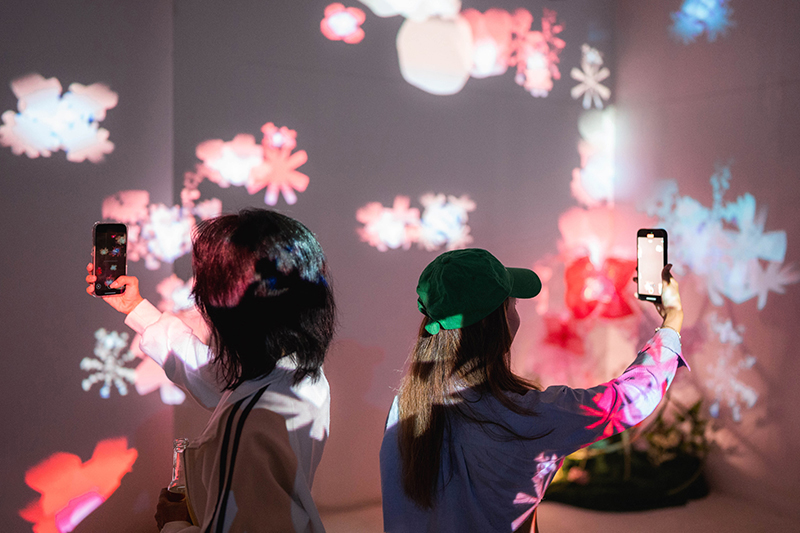 Capturing the colors of an immersive exhibition