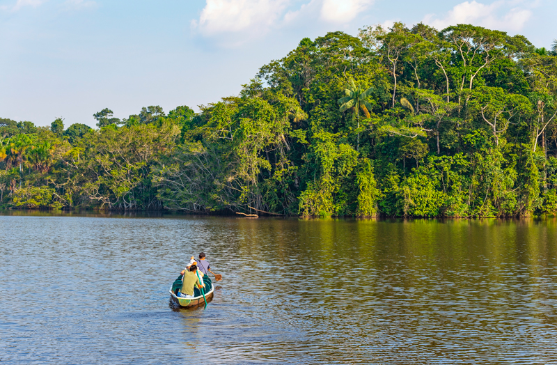 Navigating through the Amazon rainforest