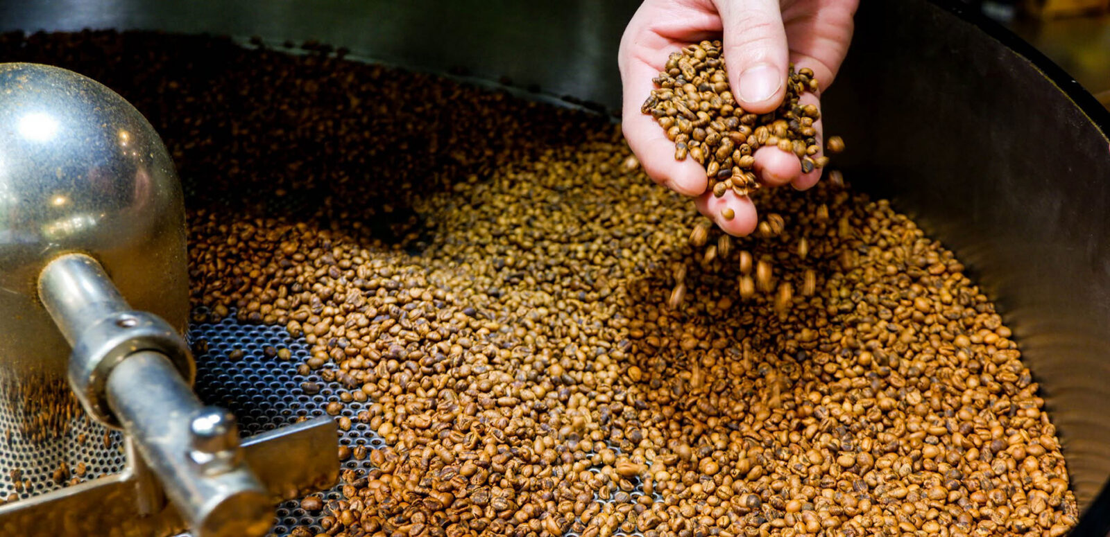 Racemosa coffee beans are rare and served at XLIII Coffee in Da Nang.