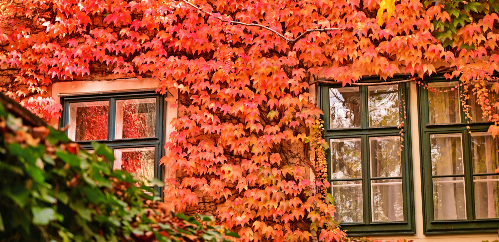 A classic house facade in a Vienna courtyard during autumn.