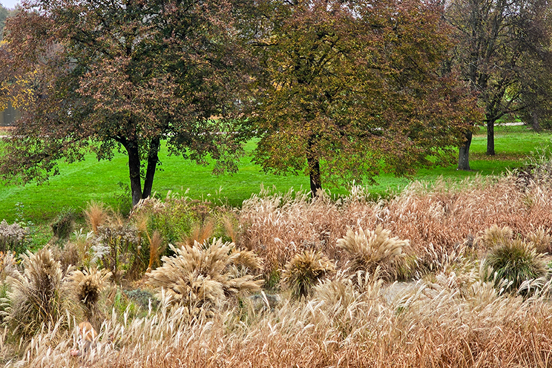 Munich's Westpark in autumn, with yellow foliage, rustic bushes, and peaceful walking paths.